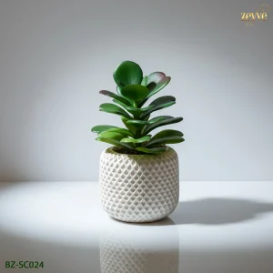 ZEYVE SAKSILI SUKULENT YÜKSEK 15x7x7cm.