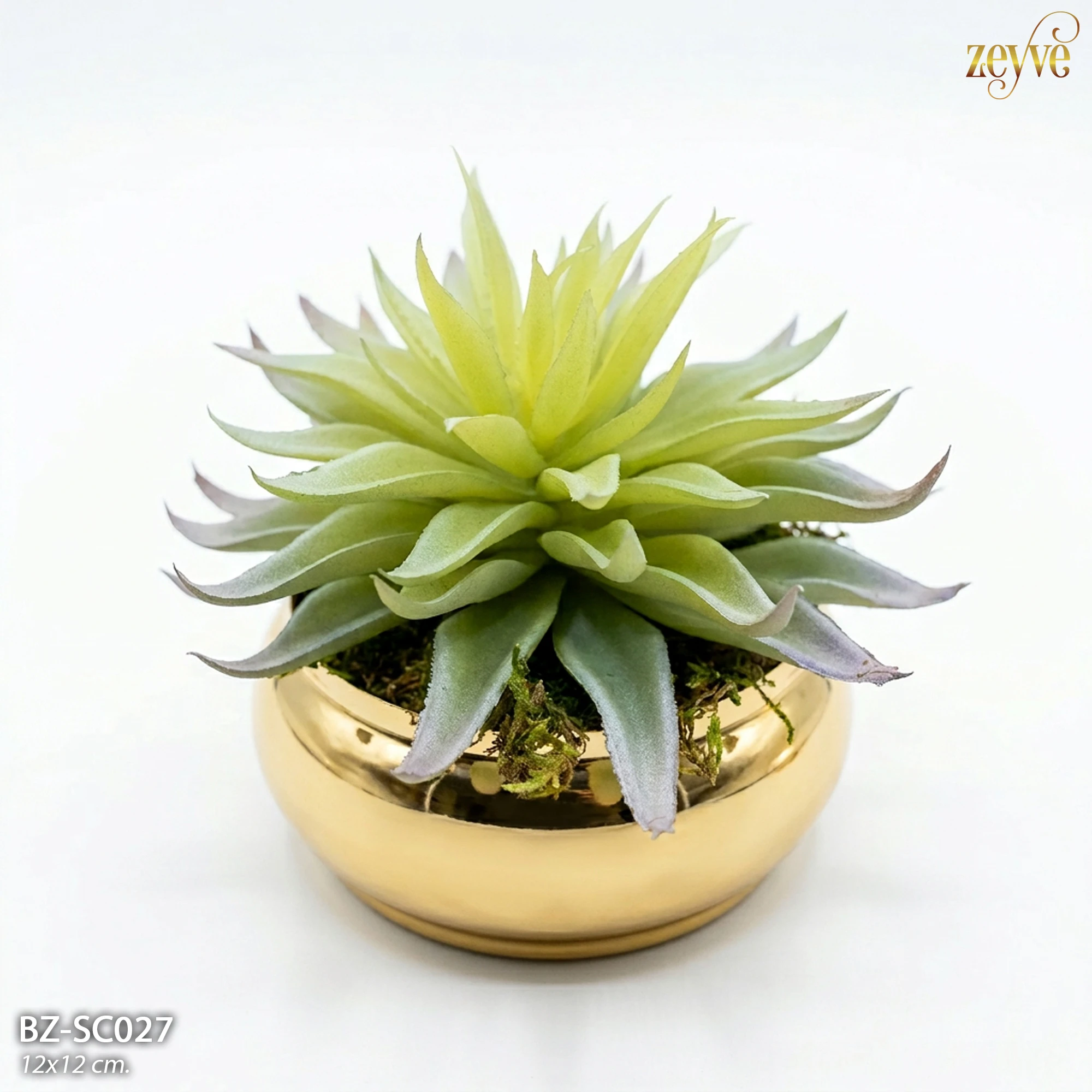 ZEYVE GOLD SAKSILI SUKULENT 12x12cm - Görsel 3