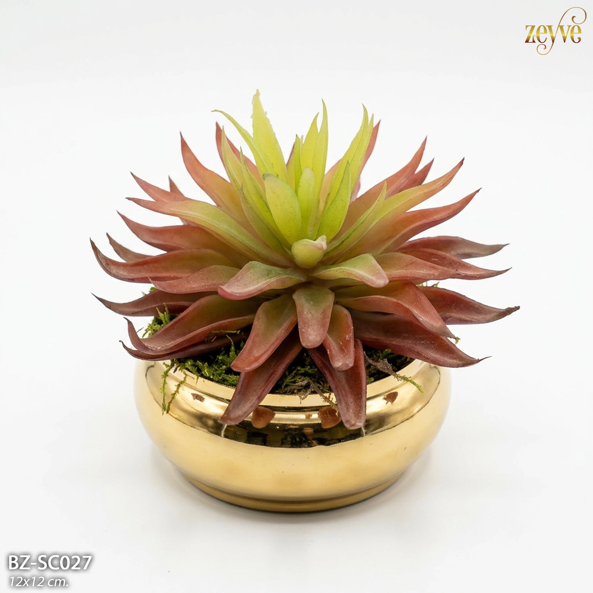 ZEYVE GOLD SAKSILI SUKULENT 12x12cm - Görsel 4