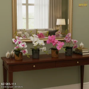 ZEYVE SAKSILI ORKİDE 4 RENK ÇİÇEK 2 RENK SAKSI*6