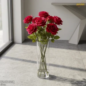 homet2t32btrzeyve.com_.trwp-contentuploads202609BZ-CC153K_.webp